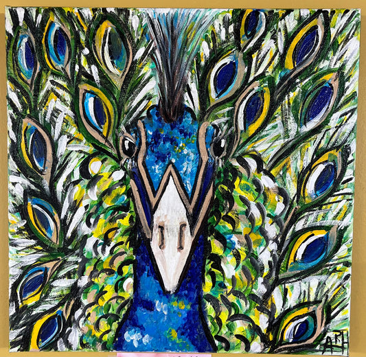 “Indian Peafowl Peacock” by Amy Holland